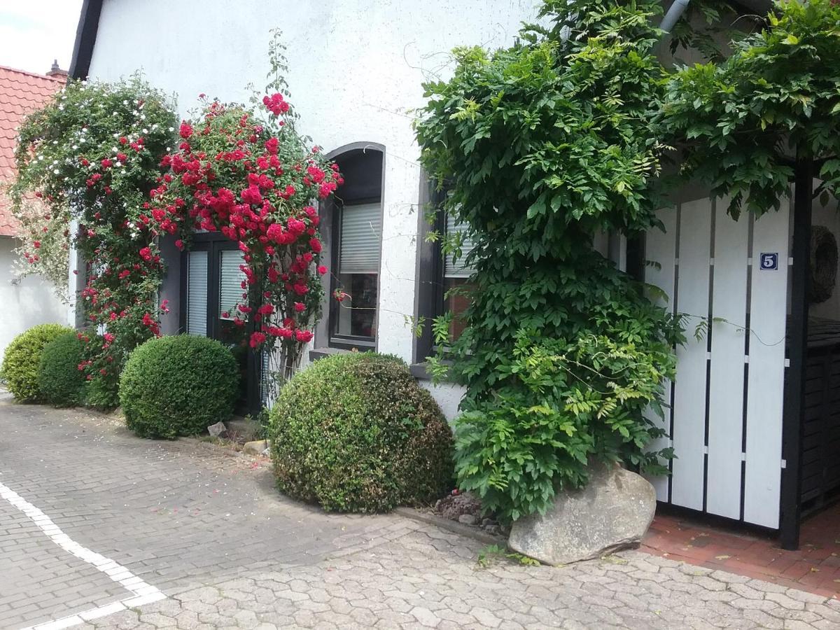 Altstadt-apartment Apartment *